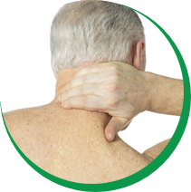 Dores no Pescoço, Ombros e Coluna